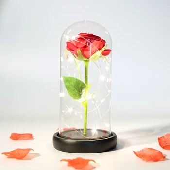 Umjetno Cvijeće Ljepotica i Zvijer Stakleni Poklopac Valentinovo suhog cvijeća za Poklon Drugarici Zauvijek Rose Svadbena Dekoracija