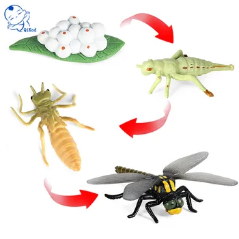 Nova Simulacija Životinja Insekt Dragonfly Ciklus Rasta Figurice Model Obrazovne Kognitivna Zbirka Slatka Dječje Igračke, Pokloni