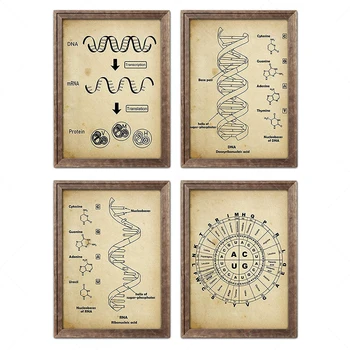 Starinski Skup Genetskog koda DNK, RNK i Dnk Dekor Umjetnost Znanost Zid umjetnost Biologija Umjetnička djela Kemija Zid Genetski kod